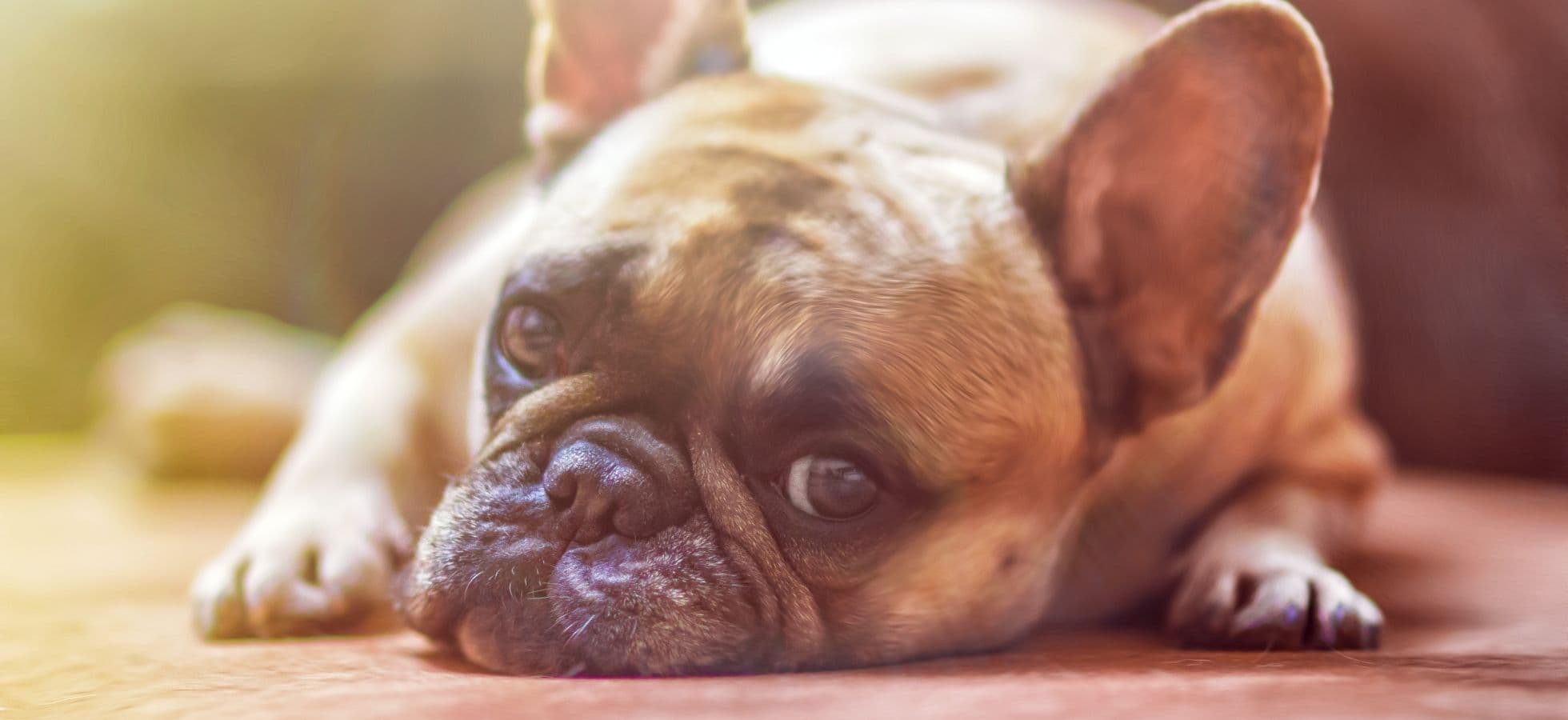 How To Never Be Bored Again